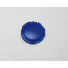 PASTILLE POUR BOUTON POUSSOIR BLEU