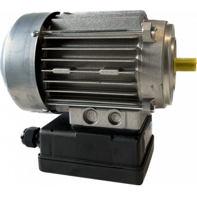 MOTEUR LAVE TAPIS 230V 50/60HZ -1